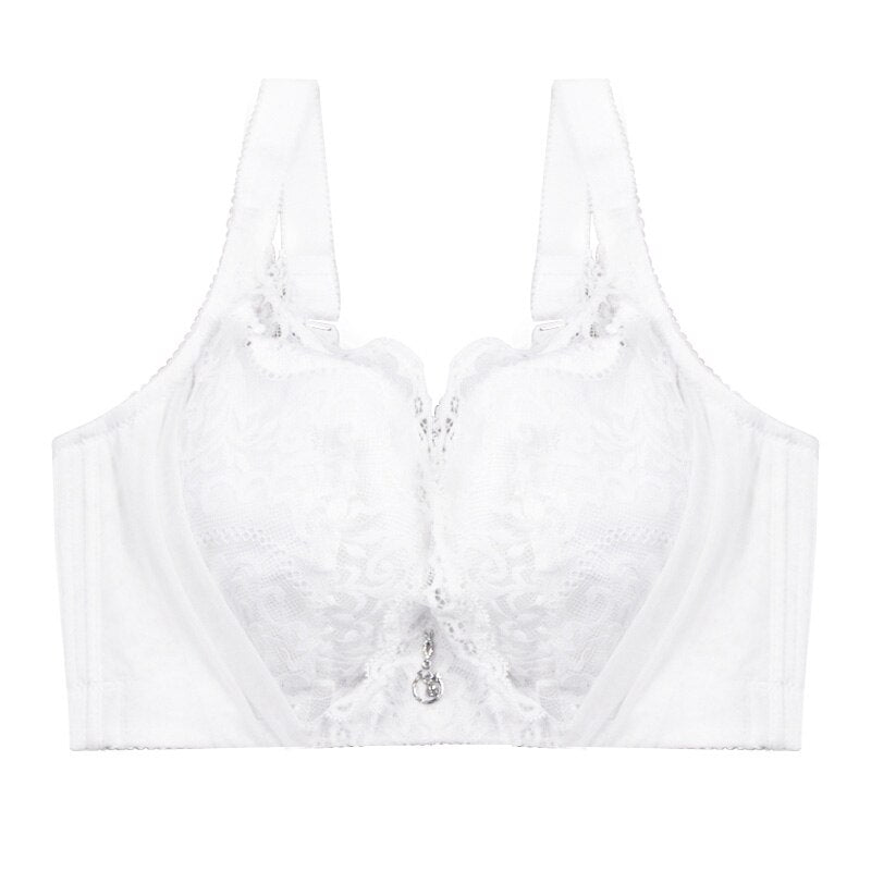 FallSweet Plus Size Bras for Women Sexy Lace Brassiere Push Up Underwire Lingerie