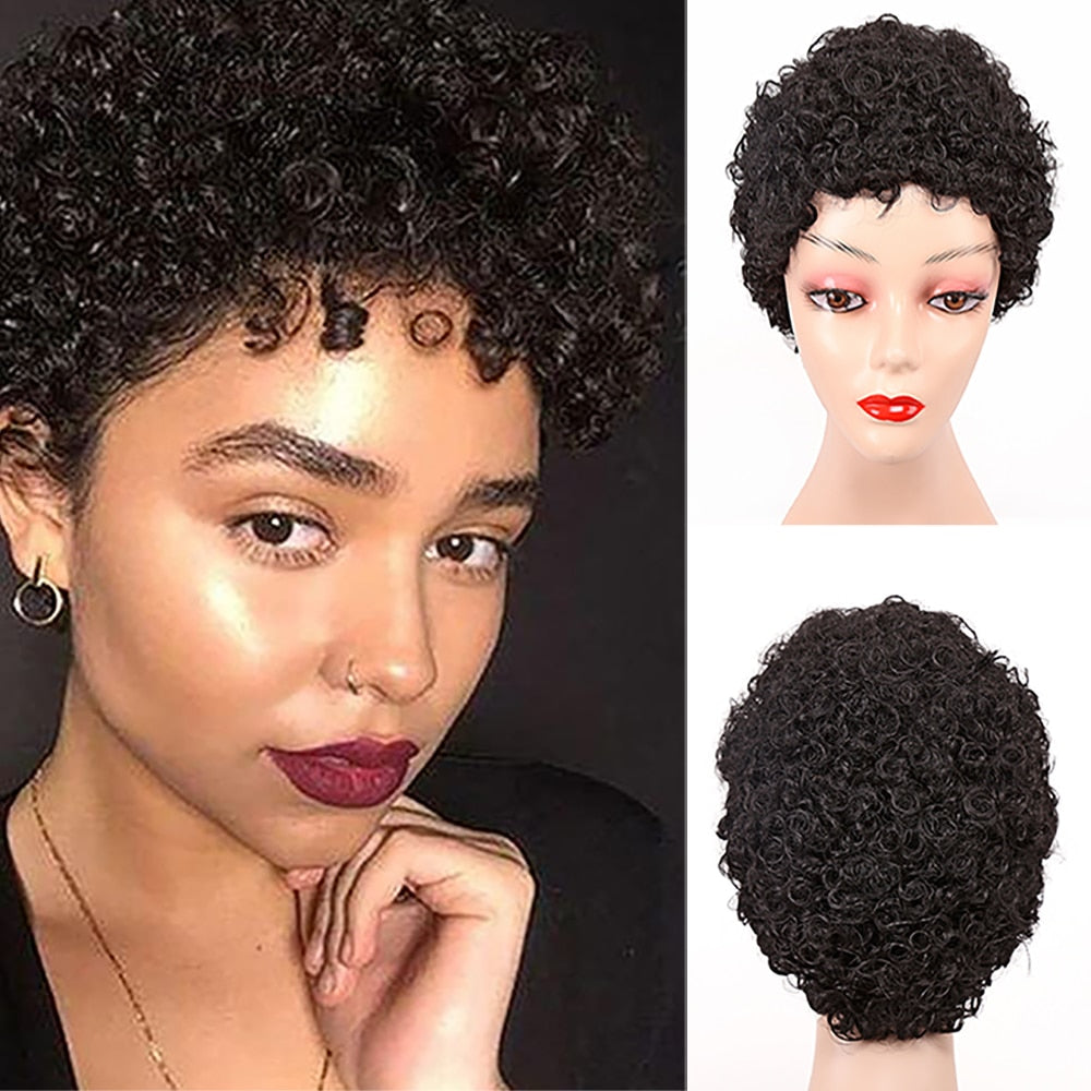 Afro Kinky Curly Amir Wigs Synthetic Hair Short Natural Black Ombre Brown Color wig Hair wig for Black Women Wig