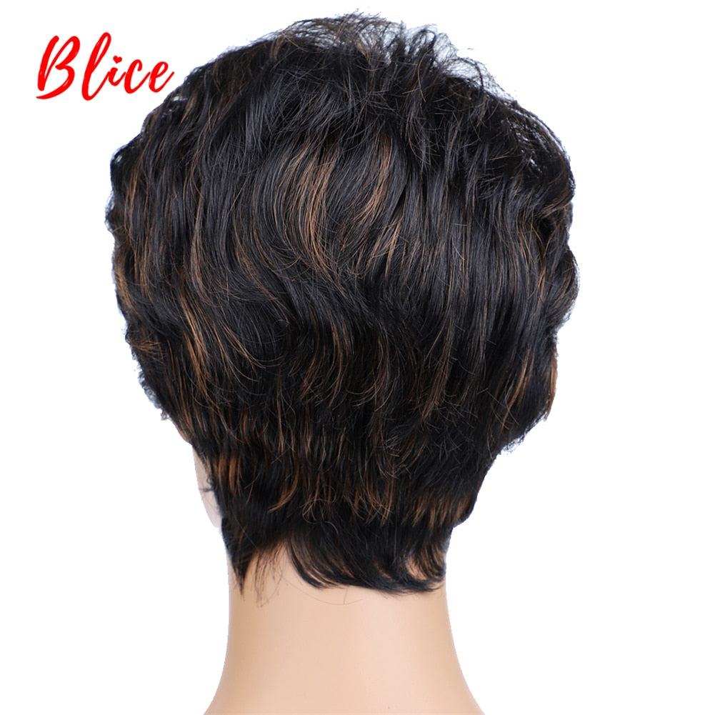 Blice Synthetic Hair Mix Color Short Natural Wave For Women Free Shipping Heat Resistant Kanekalon Wig P1B/30 Daily Wigs