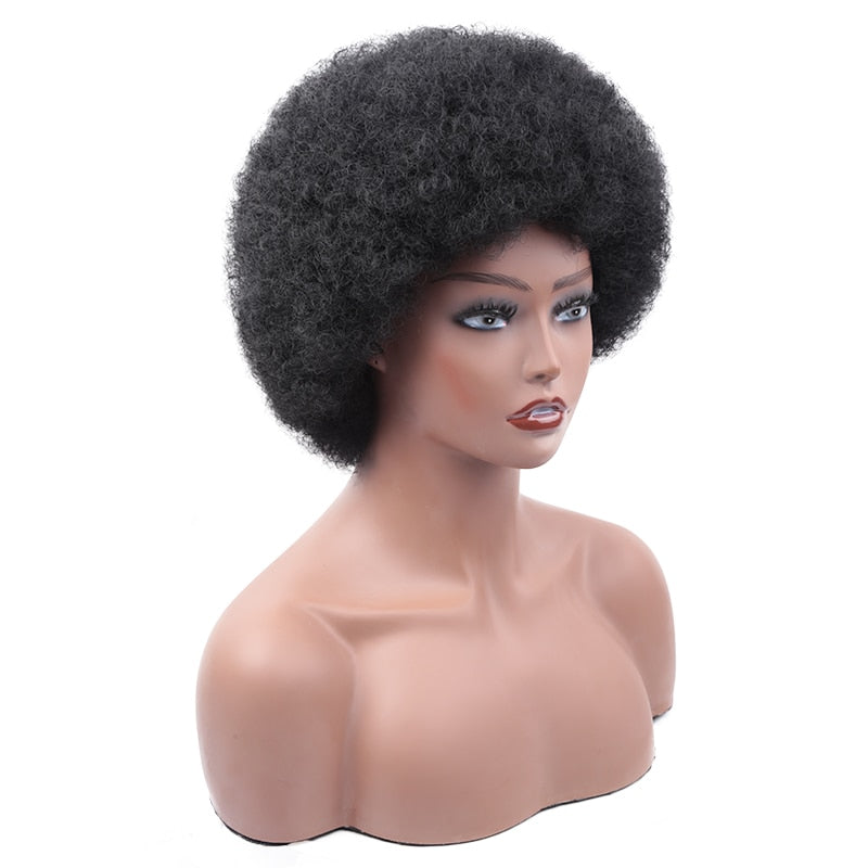 Synthetic Afro Wig Short Fluffy Hair Wigs for Black Women Kinky Curly Hair for Party Dance Cosplay Wigs with Bangs